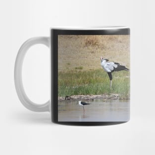 Pair of Secretary Birds,  Serengeti, Tanzania Mug